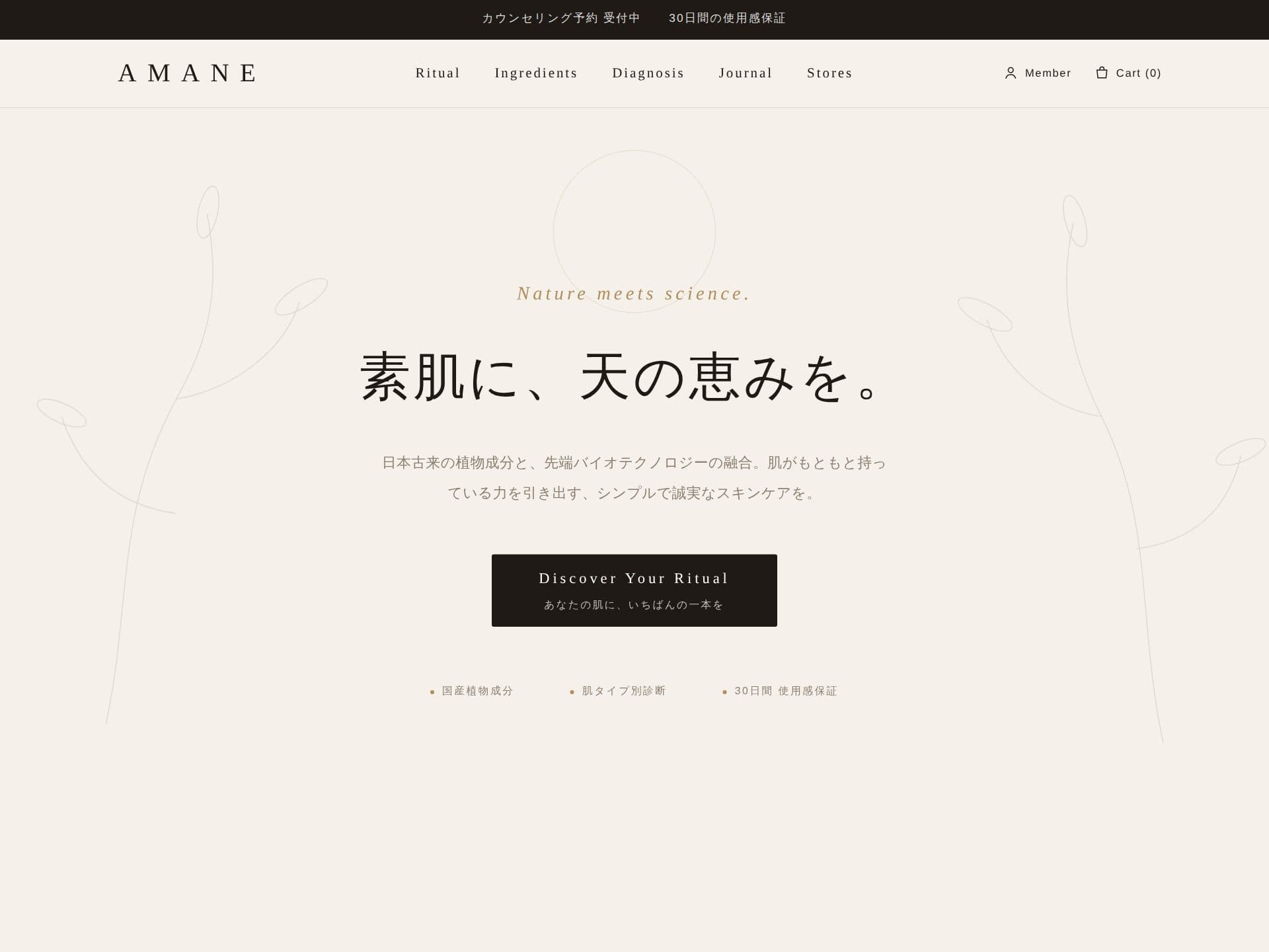 AMANEのサイトデザイン